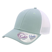 Custom Business Logo Hat (75 Hat Options Available)