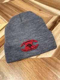 BAYAA Wildcats Winter Beanie